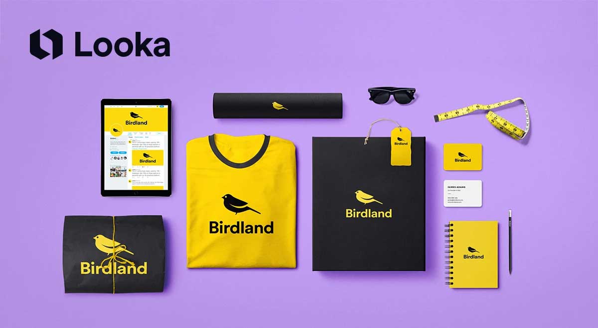 Looka brand kit